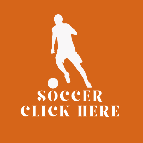 Soccer Career - Windhoek Express